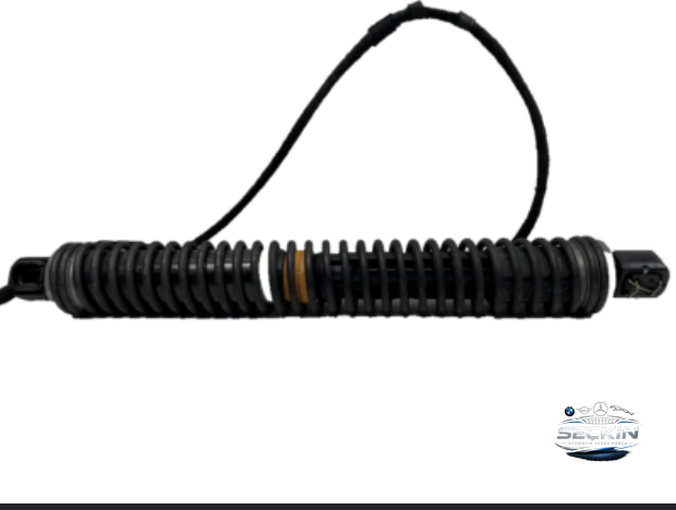 BMW 7 (F01 F02 F03 F04) Elektri̇kli̇ Bagaj Amorti̇sör OEM 51247185713