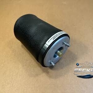 BMW BMW E39 Amortisör Havalı Arka OEM 37121094613