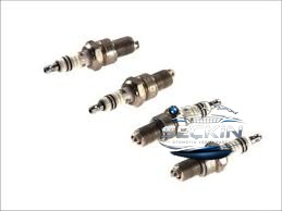 BMW BMW Buji Ateşleme OEM 12129061871
