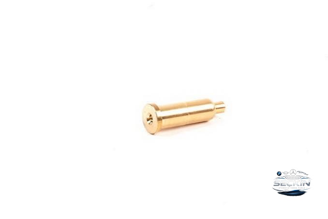 BMW BMW E36 E46 E34 E39 E60 E38 Z3 E36 Z4 E85 E36 M50 M52 M54 Yağ Püskürtme Memesi OEM 11421748199