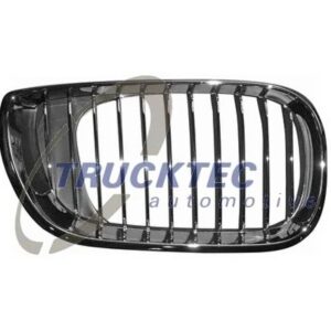BMW BMW E46 COUPE Panjur Sağ OEM 51137042962