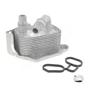 BMW BMW E46 N40 N42 N45 N46 Yağ Soğutucu OEM 11427508967