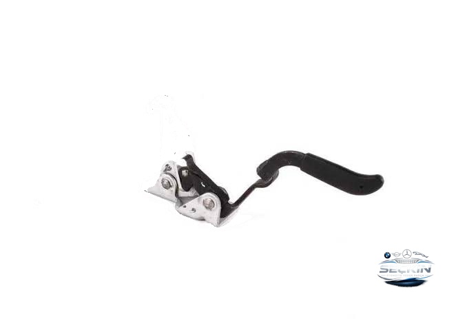 BMW BMW E46 Kapı Mandalı OEM 51238213029